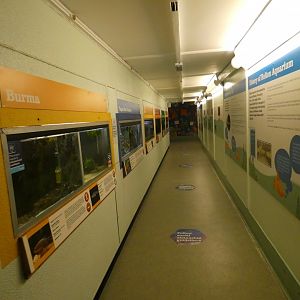 Aquarium corridor