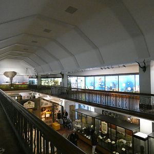 Main museum area