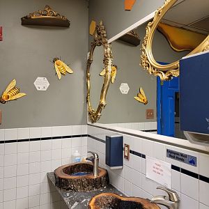 Philly Insectarium - Women's restroom