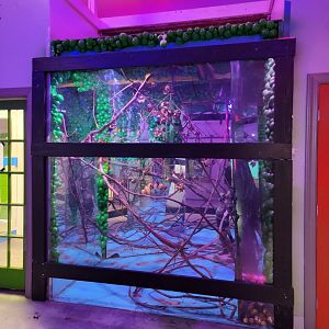 Philly Insectarium - Butterflies, no idea how to get into this area