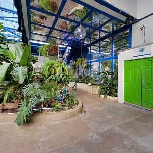 Philly Insectarium - Inside entrance/exit to butterflies