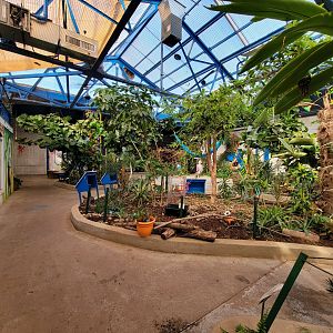 Philly Insectarium - Further inside butterfly area