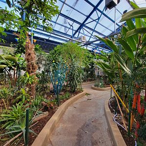 Philly Insectarium - Path in butterfly pavilion