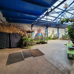 Philly Insectarium - Nocturama corner