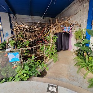 Philly Insectarium - Nocturama corner