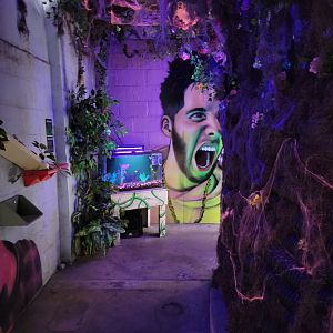 Philly Insectarium - Nocturama corner