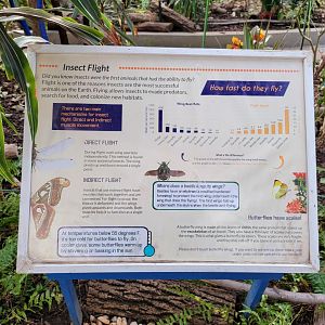 Philly Insectarium - Flight signage