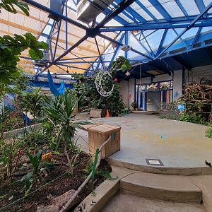 Philly Insectarium - Back of butterfly pavilion