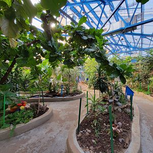 Philly Insectarium - Right side of butterfly pavilion
