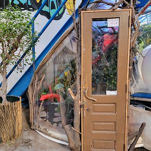 Philly Insectarium - Red-tailed boa exhibit