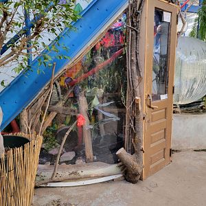 Philly Insectarium - Red-tailed boa exhibit