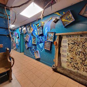 Philly Insectarium - Hallway