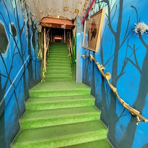 Philly Insectarium - Staircase