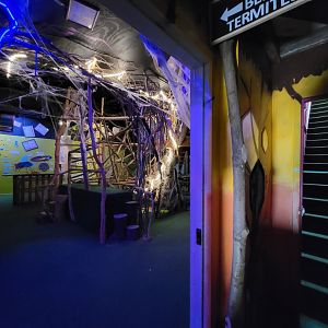 Philly Insectarium - Entrance to second floor