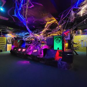 Philly Insectarium - Second floor, bug disco