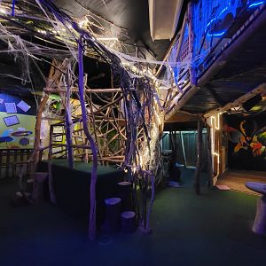 Philly Insectarium - Climbing structure for kids