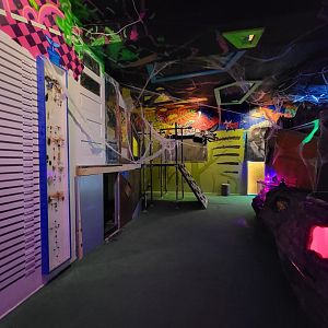 Philly Insectarium - Entrance to kids climbing area