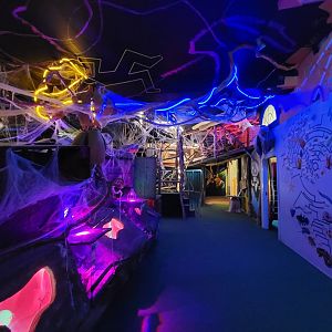 Philly Insectarium - Looking back to room entrance, other end of climbing structure