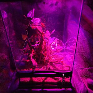 Philly Insectarium - Unsigned / empty?