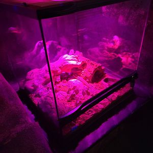 Philly Insectarium - Unsigned / empty?