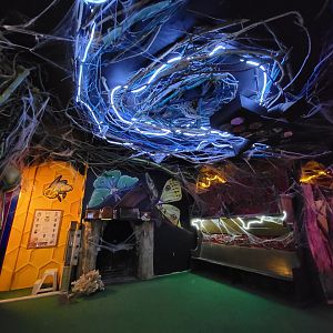 Philly Insectarium - Corner of 2nd floor room