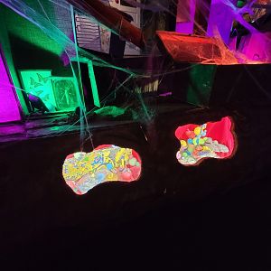 Philly Insectarium - More of those art project things