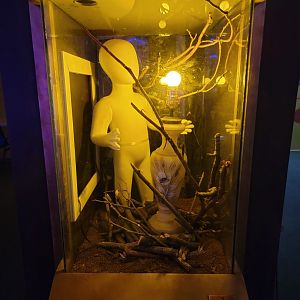 Philly Insectarium - Unsigned / empty?
