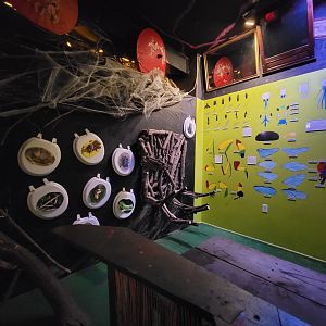 Philly Insectarium - Educational signage