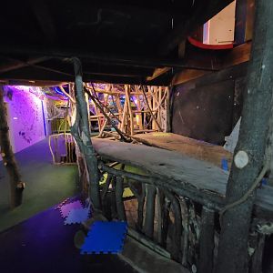 Philly Insectarium - Under kids climbing structure