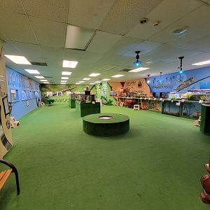 Philly Insectarium - 3rd floor room