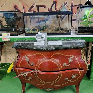 Philly Insectarium - Decor