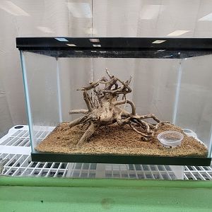 Philly Insectarium - Unsigned, empty?