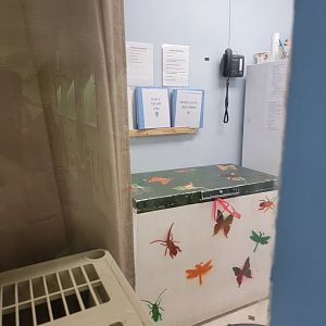 Philly Insectarium - Back area