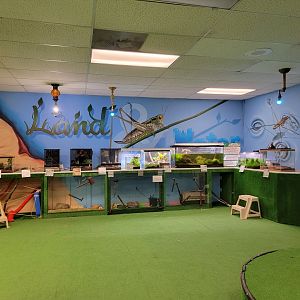 Philly Insectarium - Land and water areas