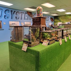 Philly Insectarium - Tarantula and scorpion table