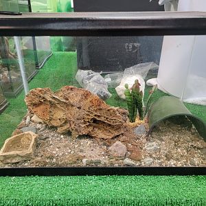 Philly Insectarium - Unsigned