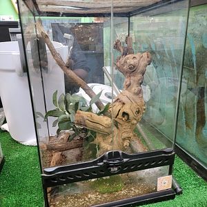 Philly Insectarium - Unsigned