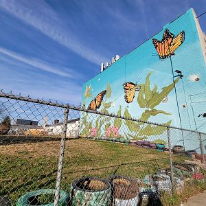 Philly Insectarium - Murals on side of building