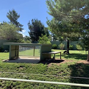 Small Cheetah Exhibit