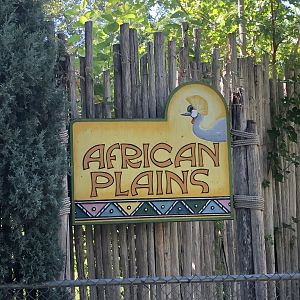 African Plains