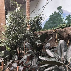 EcoCenter - Walkthrough Aviary