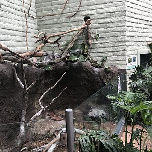 EcoCenter - Walkthrough Aviary