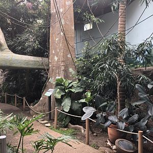 EcoCenter - Walkthrough Aviary