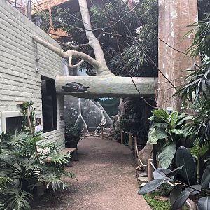 EcoCenter - Walkthrough Aviary