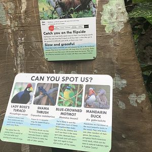 EcoCenter - Walkthrough Aviary