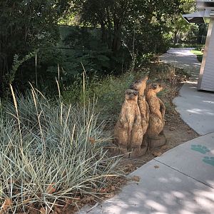 Meerkat statue