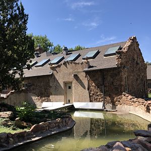 Islands of Life - lemur island