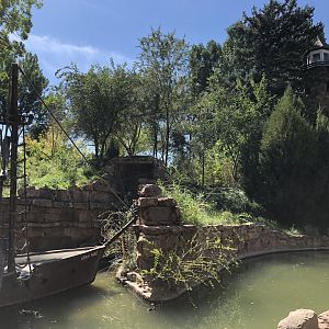 Islands of Life - lemur island