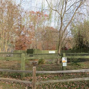 Nile Crocodile Exhibit