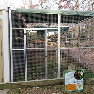 Green-winged Macaw Cage